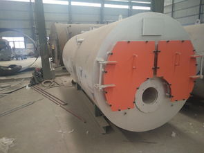 浴池專(zhuān)用鍋爐報(bào)價(jià) 廠家