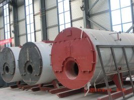 泰安價位合理的全自動燃油燃?xì)忮仩t哪里買 甘肅全自動燃油燃?xì)忮仩t