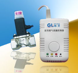 家用燃氣泄漏探測器 一氧化碳報警器專業制造商歡迎咨詢高清圖片 高清大圖